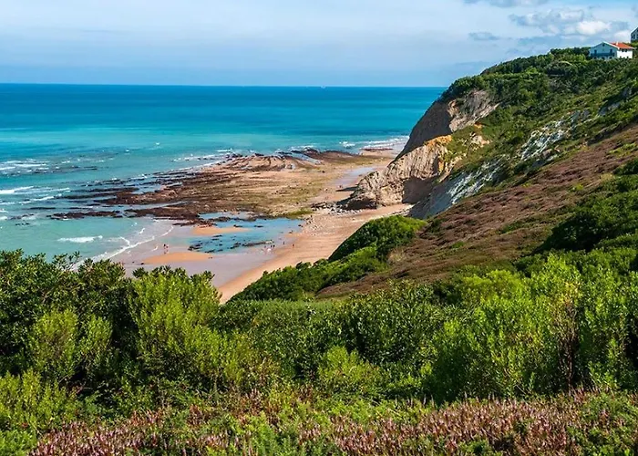 Camping Bidart بيدار